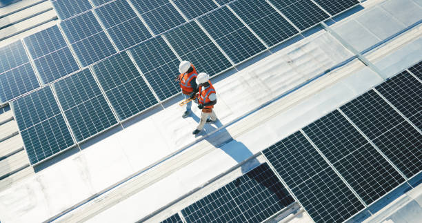 Best Roof Maintenance and Cleaning  in Wlowbrook, IL