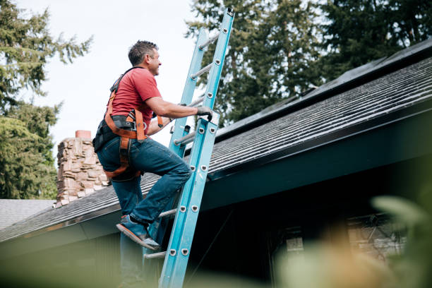 Best Chimney Flashing Repair  in Wlowbrook, IL